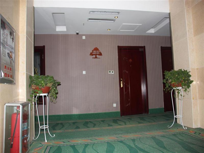 Greentree Inn Shandong Heze Cao County Qinghe Road Business Hotel Екстер'єр фото